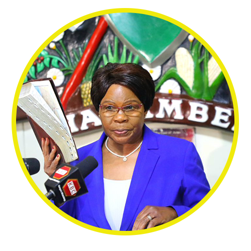 Prof. Collette A. Suda, PhD, CBS, EBS