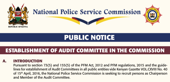 Establishment of Audit Committee in the Commission